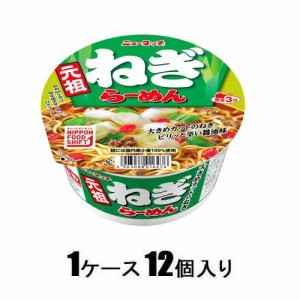 ヤマダイ ヤマダイ ニュータッチ　元祖ねぎらーめん　100g　（1ケース12個入） 返品種別B