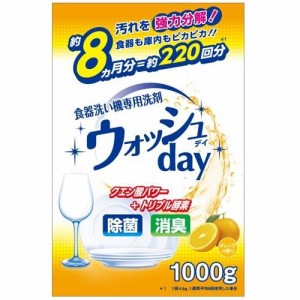 日本合成洗剤 食器洗い機専用洗剤 ウォッシュDAY 1000g 返品種別A