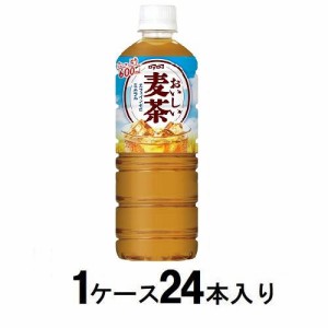 ダイドー おいしい麦茶 600ml（1ケース24本入） 返品種別B