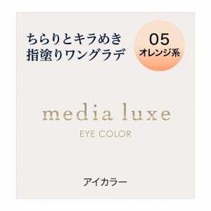 カネボウ メディア　リュクス　アイカラー　05 返品種別A