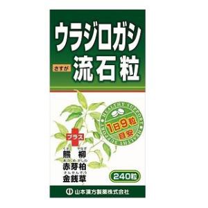 山本漢方製薬 ウラジロガシ 流石粒 240粒 返品種別B