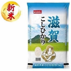 滋賀県 滋賀県産こしひかり 5kg 返品種別B