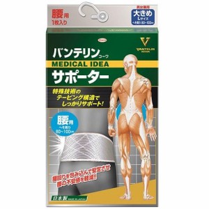 興和 バンテリンサポーター 腰用 男女兼用 大きめ シャイニンググレー L（80〜100cm） 返品種別A