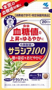 小林製薬 小林サラシア100 20日分（60粒） 返品種別B