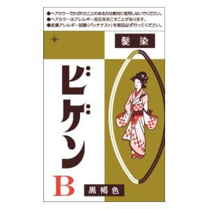 ホーユー ビゲン B（黒褐色）6g 返品種別A