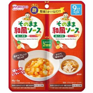 アサヒグループ食品（和光堂） そのままソース 和風 80g （9か月頃〜）返品種別B