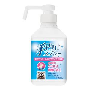 健栄製薬 手ピカスプレー 本体 420ml 返品種別B