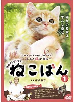 【中古】▼ねこばん 1 b11058／FMDR-9366【中古DVDレンタル専用】