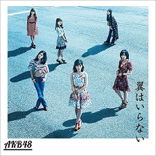 【中古】《バーゲン30》翼はいらない Type C 通常盤 / AKB48 c5543【中古CDS】