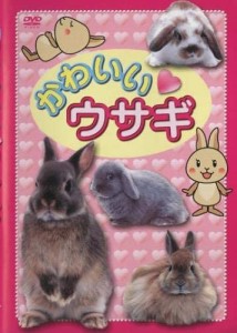 【中古】かわいい ウサギ  b47971【レンタル専用DVD】