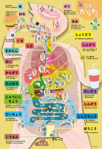 BEV-80-005　子供用パズル　からだおぼえちゃおう！　80ピース ジグソーパズル