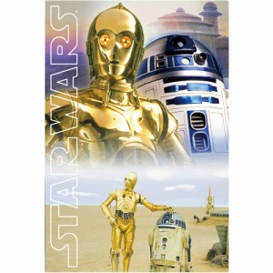 スター・ウォーズ 3Dポストカード オリジナル・トリロジー C-3PO＆R2-D2 S3756