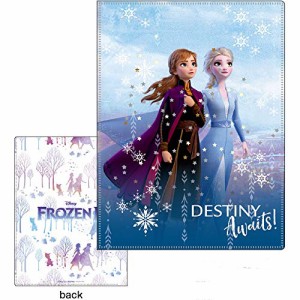 ディズニー スパンコール 入りA4 クリアファイル アナと雪の女王2 アナ エルサ