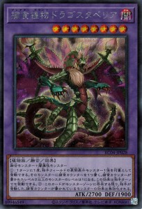 遊戯王 捕食植物ドラゴスタペリア(シークレットレア) レアコレ 2023 （RC04） | プレデター プランツ 融合・効果モンスター 闇属性 植物