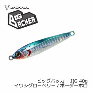 ジャッカル ビッグバッカー JIG 40g イワシグローベリー/ボーダーホロ　【釣具　釣り具】