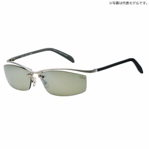 ダイワ TLX 012 TRUEVIEW SPORTS (SILVER MIRROR)