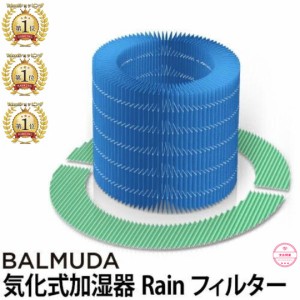 バルミューダ BALMUDA 加湿器 Rain フィルター 交換用 加湿器 rain レイン フィルターセット ERN-S100 ERN1000 ERN1080 ERN1180 互換品