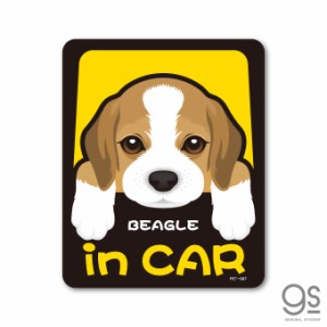 ペットステッカー BEAGLE in CAR ビーグル ドッグインカー 車 ペット 愛犬 DOG イラスト PET067 gs グッズ