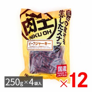 肉王 国産 ビーフジャーキー 愛犬用スナック（間食用） 1kg（250g×4袋入）×12パック ケース販売