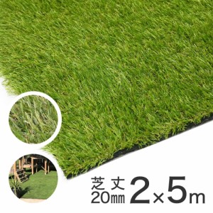 リアル人工芝 2m×5m巻 パイル長さ20mm  アークランズ 【大型便・時間指定不可】