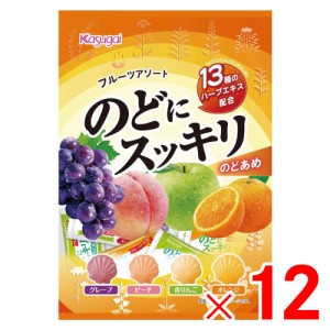 春日井製菓　のどにスッキリフルーツアソート 118g×12個 セット販売