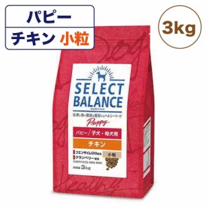 セレクトバランス パピー 子犬・母犬用 チキン 小粒 3kg 犬 ドッグフード 犬用 フード ドライ 子犬用 妊娠 授乳 ミルクプロテイン