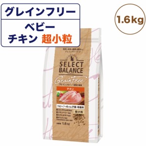 セレクトバランス グレインフリー ベビー チキン 1.6kg  〜4ヶ月の子猫・母猫用 チキン 超小粒 400g 猫 ドライ 子猫 幼猫 穀物不使用