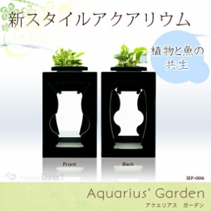 (最終在庫処分祭) IEF-006 アクアリウム水槽 Aquarius' Garden アクエリアスガーデン ブラックベース 着脱式LEDライト付水槽 熟練した職