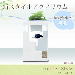 (最終在庫処分祭) IEF-011WH アクアリウム水槽 Ladder Style ラダースタイル ホワイトベース 着脱式LEDライト付水槽 熟練した職人の手作