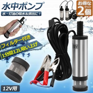 水中ポンプ 12V 2個セット 小型 ウォーターポンプ 12L/min バッテリークランプ 電動 ポンプ ケーブル 3ｍ スイッチ式 強力 給油 給水 排