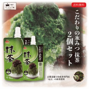 かき氷 シロップ 業務用 井村屋 こだわりの氷みつ 抹茶 2個 氷菓 ポイント消化 まっちゃ アイス わらびもち ふわふわ アイスクリーム シ