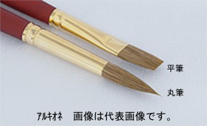 名村大成堂 alcyone（アルキオネ）6平 (81116062) 水彩画筆