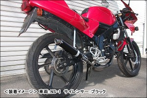 RSY   走り屋倶楽部 ワークスチャンバー（シルバー）/DT50［17W］ 115-HCWKS-SL-DT50【同梱不可商品】