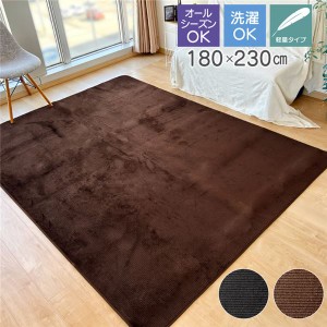 ラグ マット 絨毯 約180×230cm 3畳 ブラウン 軽量 洗える ウォッシャブル オールシーズン ストライプ柄【代引不可】