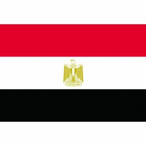 東京製旗 国旗No.2(90×135cm) エジプト・アラブ（沖縄・離島配送不可）