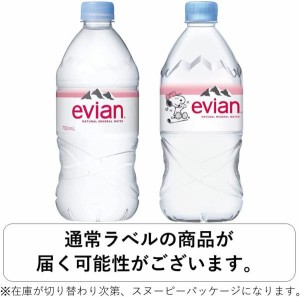 伊藤園 【ケース販売】エビアン  750ml×12本（沖縄・離島配送不可）