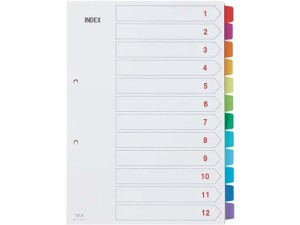 カラーインデックスPP A4タテ 12山 2穴 テージー IN-1412