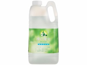 緑の魔女 キッチン 食器洗剤 業務用 2L ミマスクリーンケア