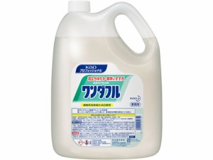 ワンダフル 4.5L KAO