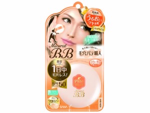 毛穴パテ職人 ミネラルBBパウダー エンリッチモイスト 常盤薬品工業