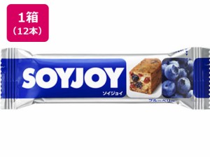 SOYJOY(ソイジョイ) ブルーベリー 12本 大塚製薬