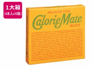 カロリーメイトブロック フルーツ味 (4本入り)×10箱 大塚製薬