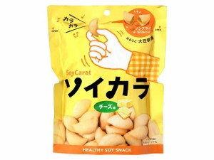 ソイカラ チーズ味 大塚製薬