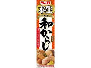 本生 和からし43g エスビー食品