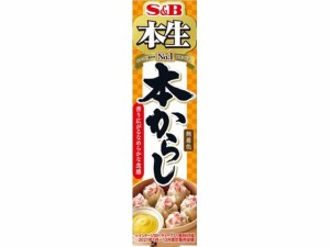 本生 本からし43g エスビー食品