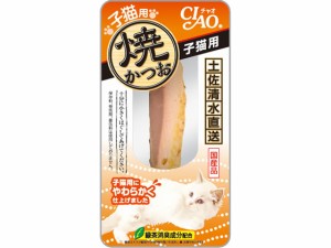 CIAO 焼かつお仔猫用 1本 いなば