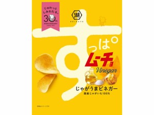 すっぱムーチョ チップス さっぱりビネガー 55g 湖池屋