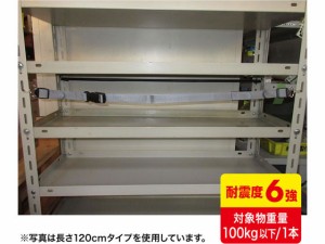 落下ストッパーフック式 210cm1本入 サンワサプライ QL-E97-210