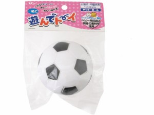 遊んでトイ サッカーボール アースペット