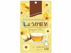 しょうが紅茶 2g×12袋入 リブ・ラボラトリーズ